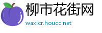 柳市花街网